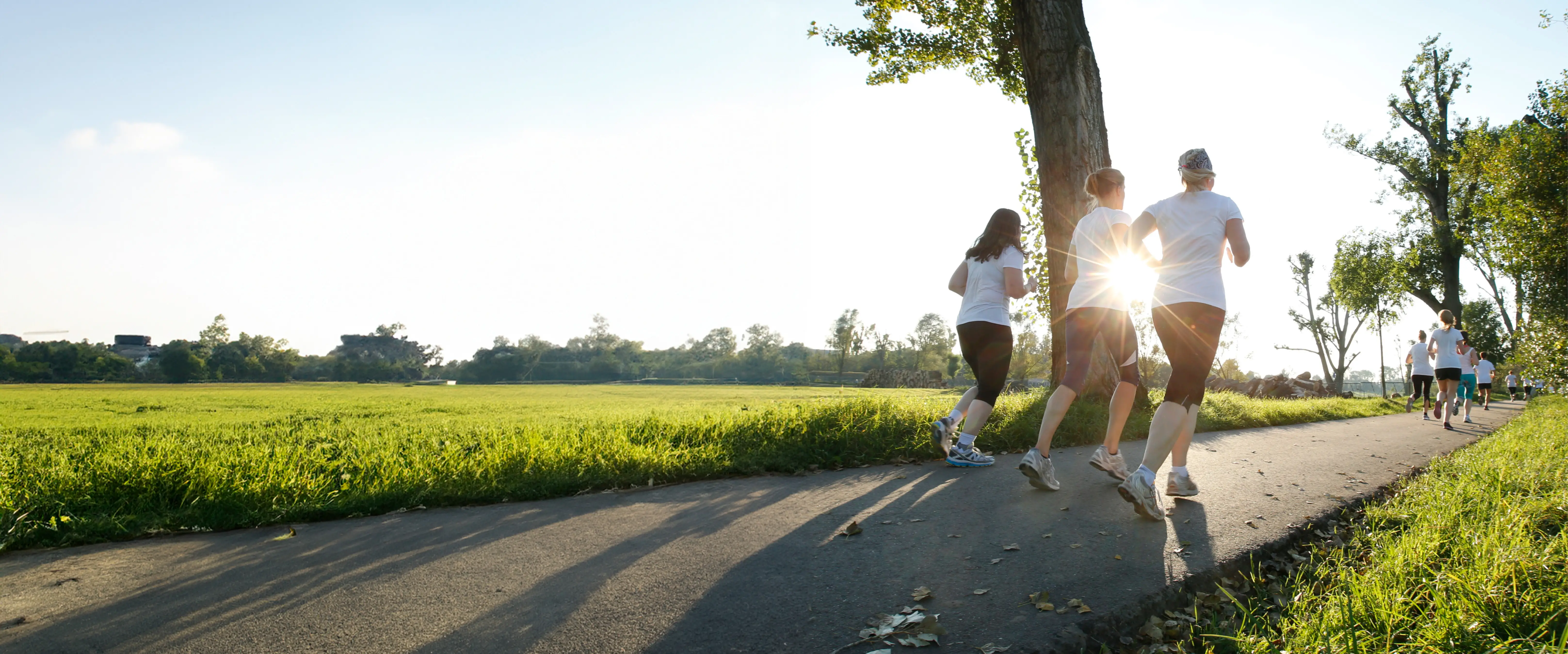 Foto von einer Gruppe von hinten, während sie im Park joggen.